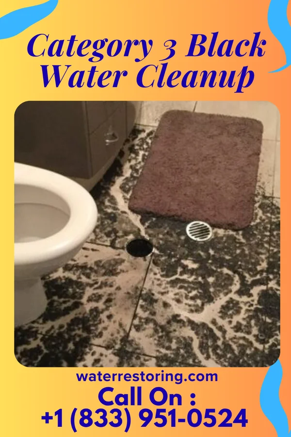 Category 3 Black Water Cleanup in Hobbs, NM